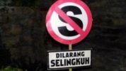 images 9