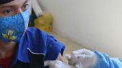 Kemenkumham Sulsel Apresiasi Vaksinasi LPKA MarosTargetkan 100 Persen