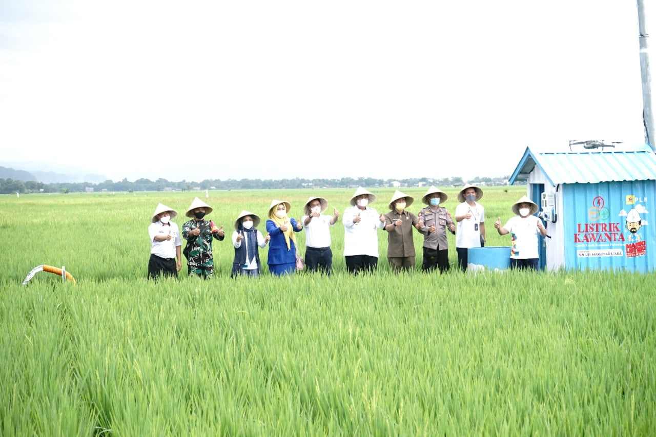 Program Electrifying Agriculture PLN Dukung 148.290 Petani