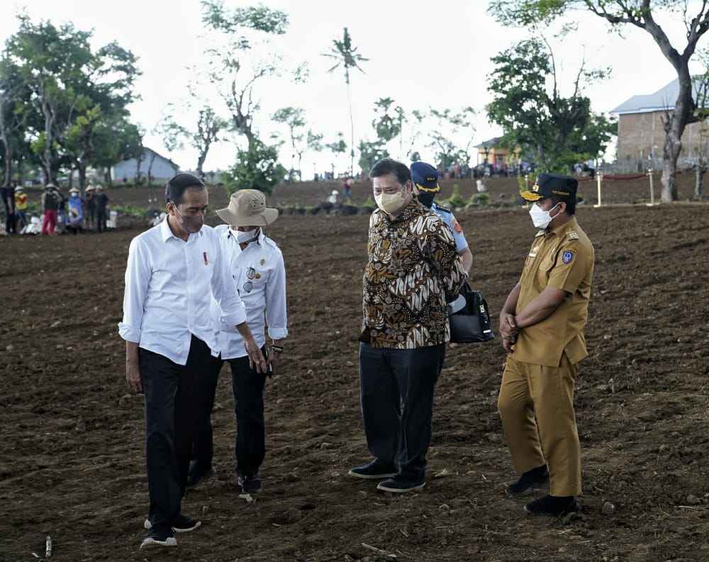 Tanam Jagung Bareng Jokowi dan Petani di Jeneponto, Plt Gubernur Harap Penuhi Kebutuhan Nasional