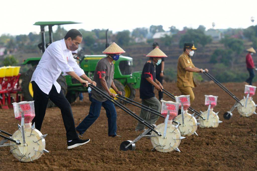 Presiden Jokowi Tanam Jagung Pakai Traktor di Jeneponto