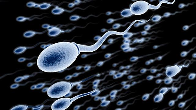5 Ciri Sperma Sehat Berkualitas