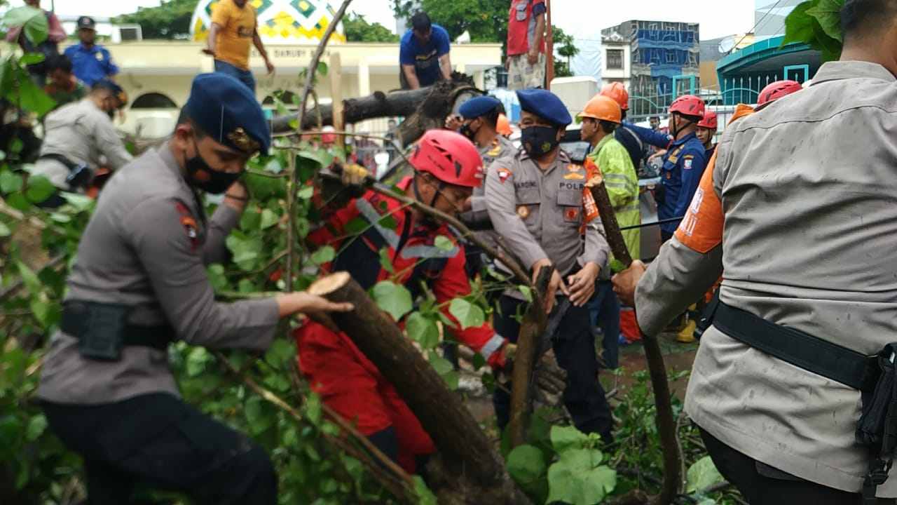 Gerak Cepat, Tim SAR Batalyon A Pelopor Bantu Bersihkan Pohon Tumbang