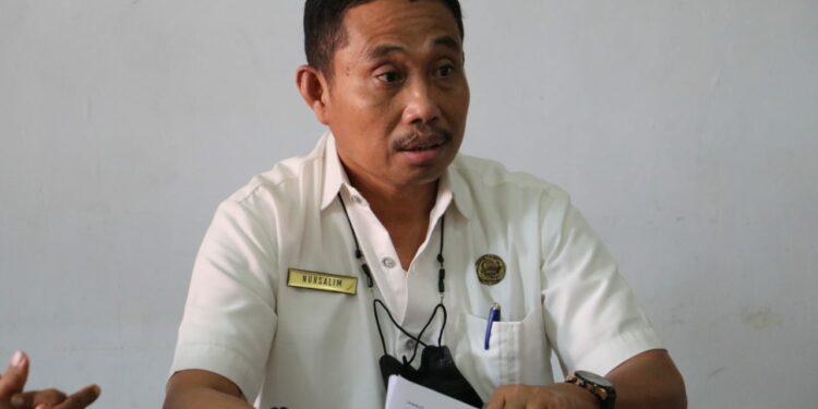 Kepala BKPSDM Luwu Utara, Nursalim Ramli