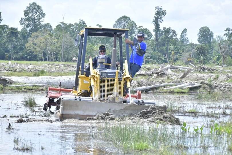 Sekitar 83,8 Hektar Sawah yang Terdampak Banjir Telah Direhabilitasi