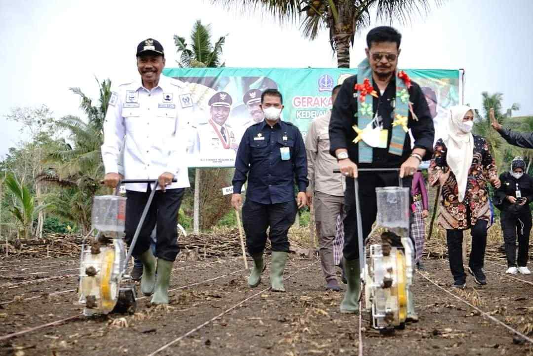 Menteri Pertanian Galakkan Gerakan tanam Tanam Kedelai dan Jagung di Ulaweng Bone