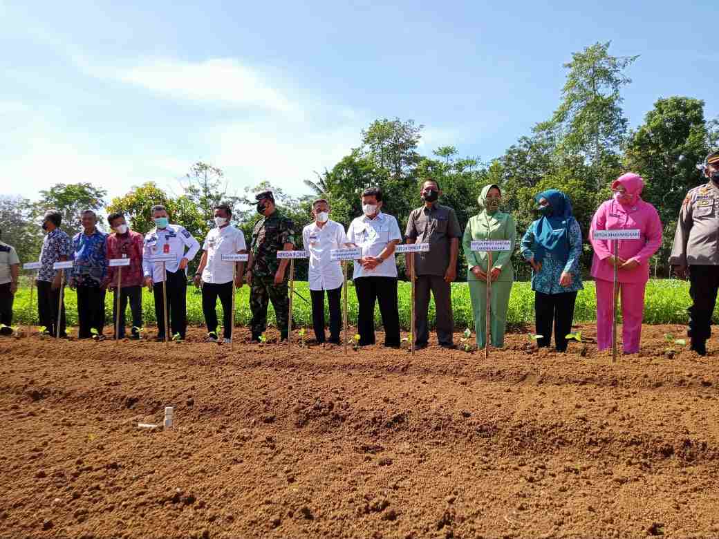 Pemkab Kutai Kartanegara Belajar Bertani di Pemkab Bone
