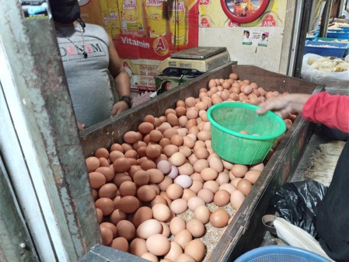 Pedagang Keluhkan Kenaikan Harga Telur