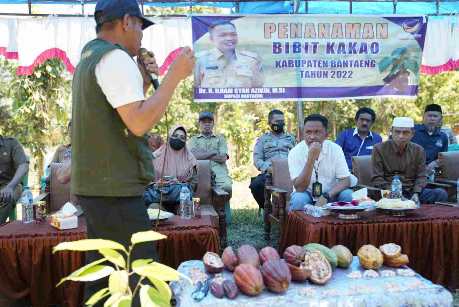 Dua Kecamatan Bantaeng Potensi Produksi 3,2 ton Kakao Tiap Bulan