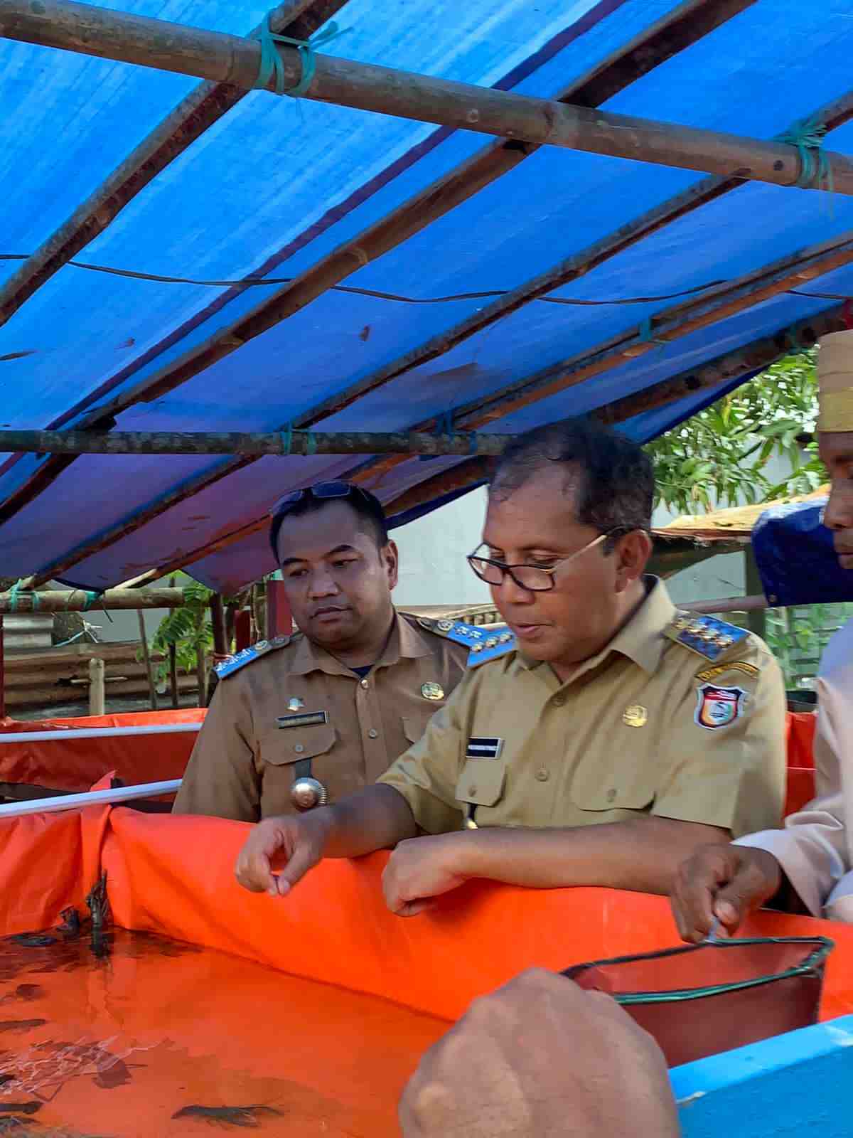Camat Tamalate Dampingi Walikota Makassar Panen Lobster di Longwis Saga