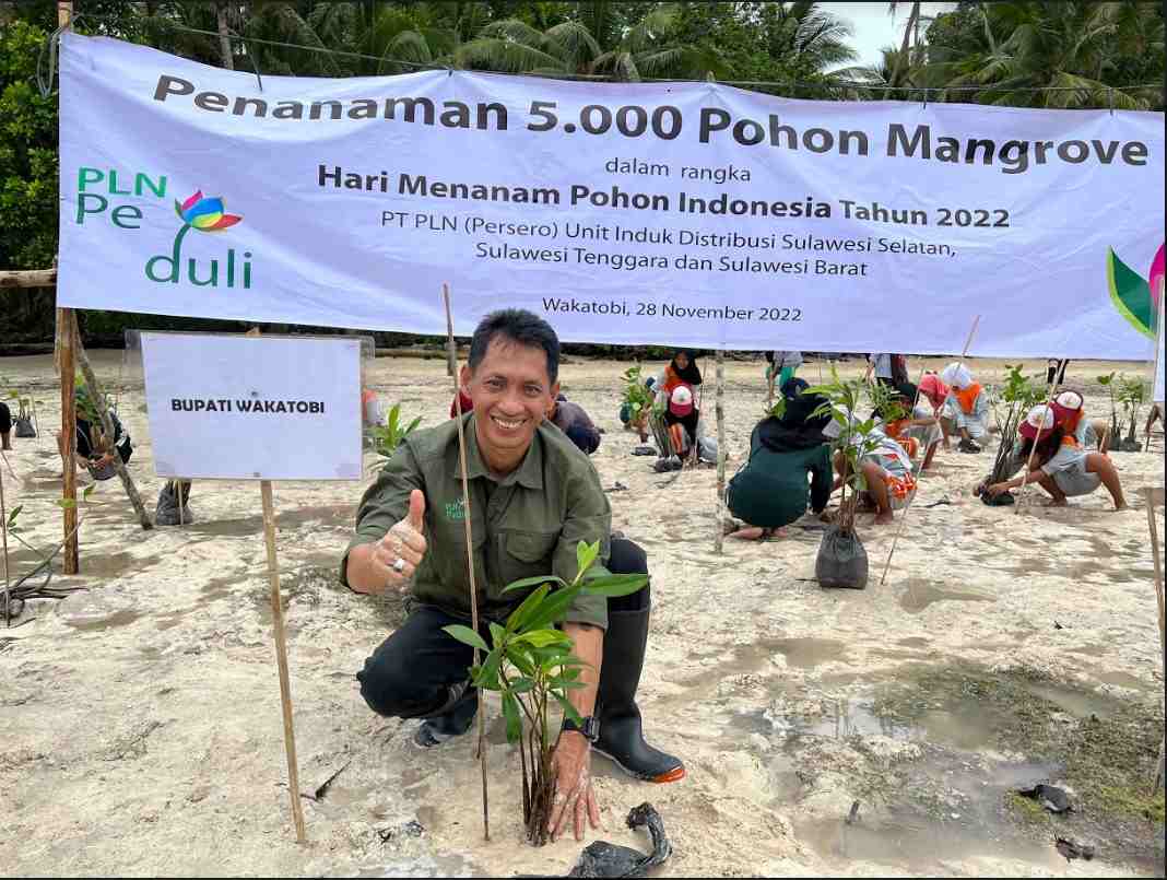 PLN UID Sulselrabar Tanam 5000 Mangrove, Wujud Pelestarian Lingkungan