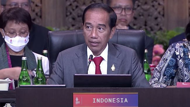 Jokowi Tawarkan Proyek IKN ke Pengusaha Australia