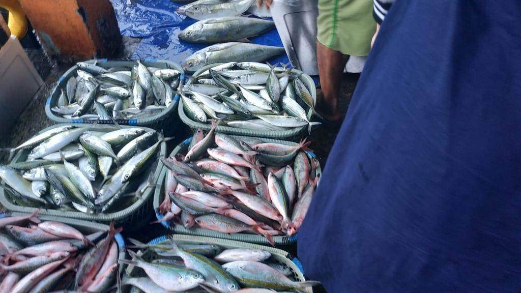 Ilustrasi pasar ikan. (Dok/Twitter @Eyurekaaa).
