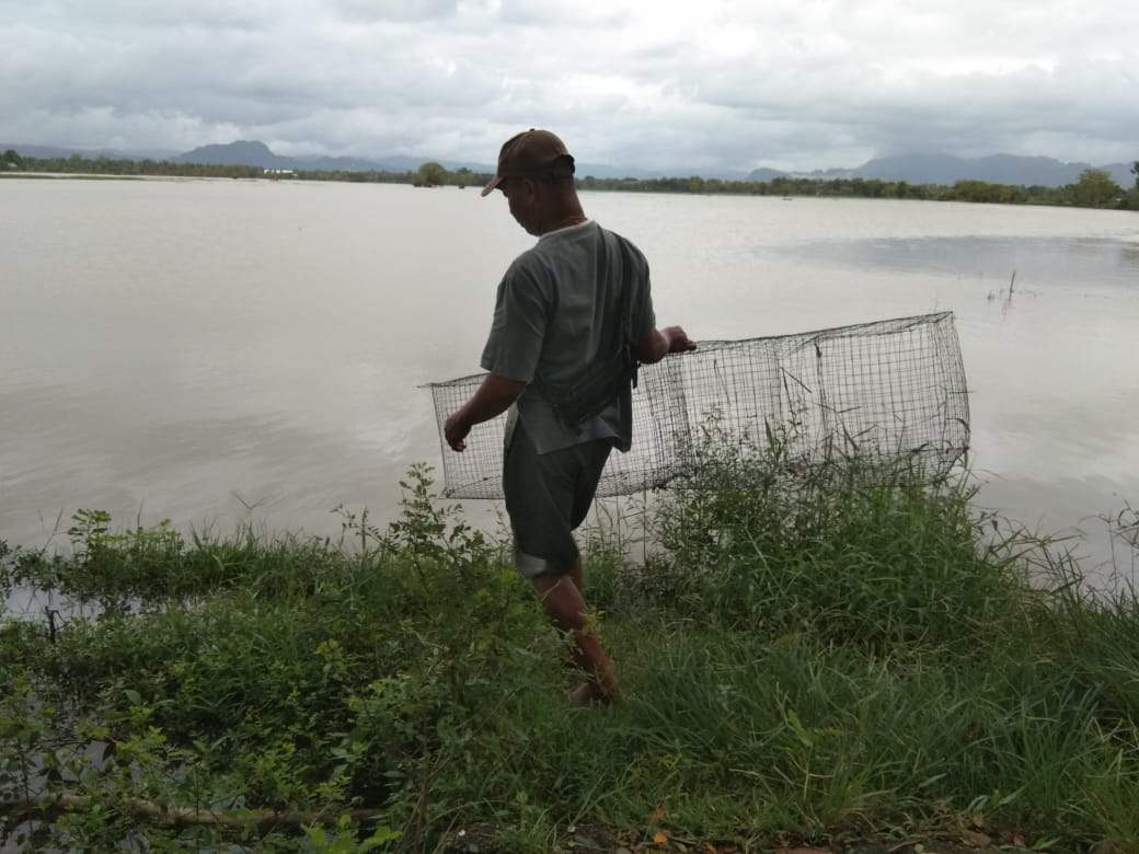 Syamsuddin, petani di Desa Gentung, Kecamatan Labbakkang, Kabupaten Pangkep yang sawahnya terendam banjir. (Rakyat.News)