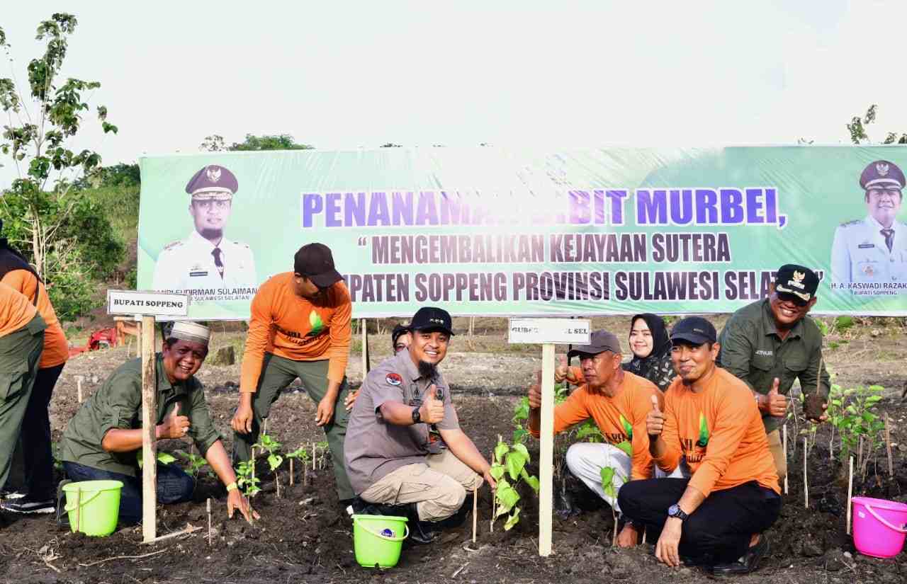 Gubernur Sulawesi Selatan Andi Sudirman Sulaiman secara simbolis melakukan penanaman perdana 1,5 juta bibit murbei. (Dok.Ist)