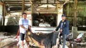 Angkat potensi masyarakat tiga dosen asal Sulawesi Selatan kembali melakukan pengabdian masyarakat di Kecamatan Maiwa, Kabupaten Enrekang. (Dok.Ist)