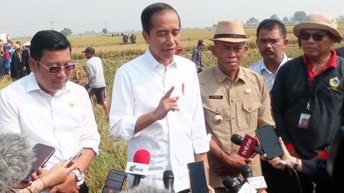 Plt. Mentan Dampingi Jokowi Panen Raya di Subang. (Sumber: Tribun Jabar.id/Ahya Nurdin).