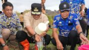 Budidaya Pisang Cavendish, Pemkab Gowa Siapkan Lahan Seluas 3.600 Hektar