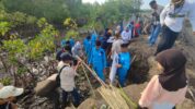 Peringati Hari Nusantara, DKP Sulsel Tanam 78 Ribu Mangrove