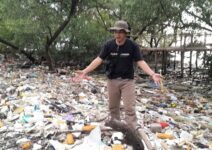 Ormas Oi Prihatin Dengan Tumpukan Sampah Di Pantai Bahagia Bekasi