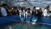 KKP Terus Dorong Budidaya Ikan Sistem Bioflok di Pondok Pesantren.