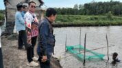 Tim Ahli Gubernur Sulbar Saat Mengunjungi Kawasan Transmigrasi Tanjung China, Desa Bambakoro, Kecamatan Lariang, Kabupaten Pasangkayu, Kamis (26/6/2025)