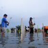 Jaga Masa Depan Pesisir, LAZ Hadji Kalla Dukung Penanaman 2.000 Mangrove di Majene
