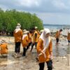 Wujudkan Kepedulian Lingkungan, SMP Islam Athirah Bukit Baruga Tanam Ratusan Mangrove di Puntondo