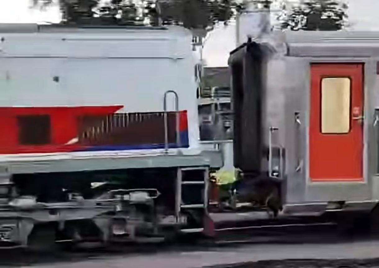 Tangkapan Layar Momen Rangkaian Coupler Kereta Api Terlepas