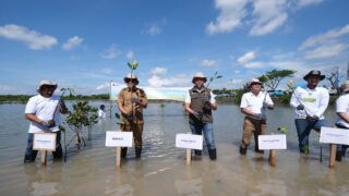 PLN Group Sulsel Tanam 10.150 Pohon di Jeneponto Lewat Roots of Energy