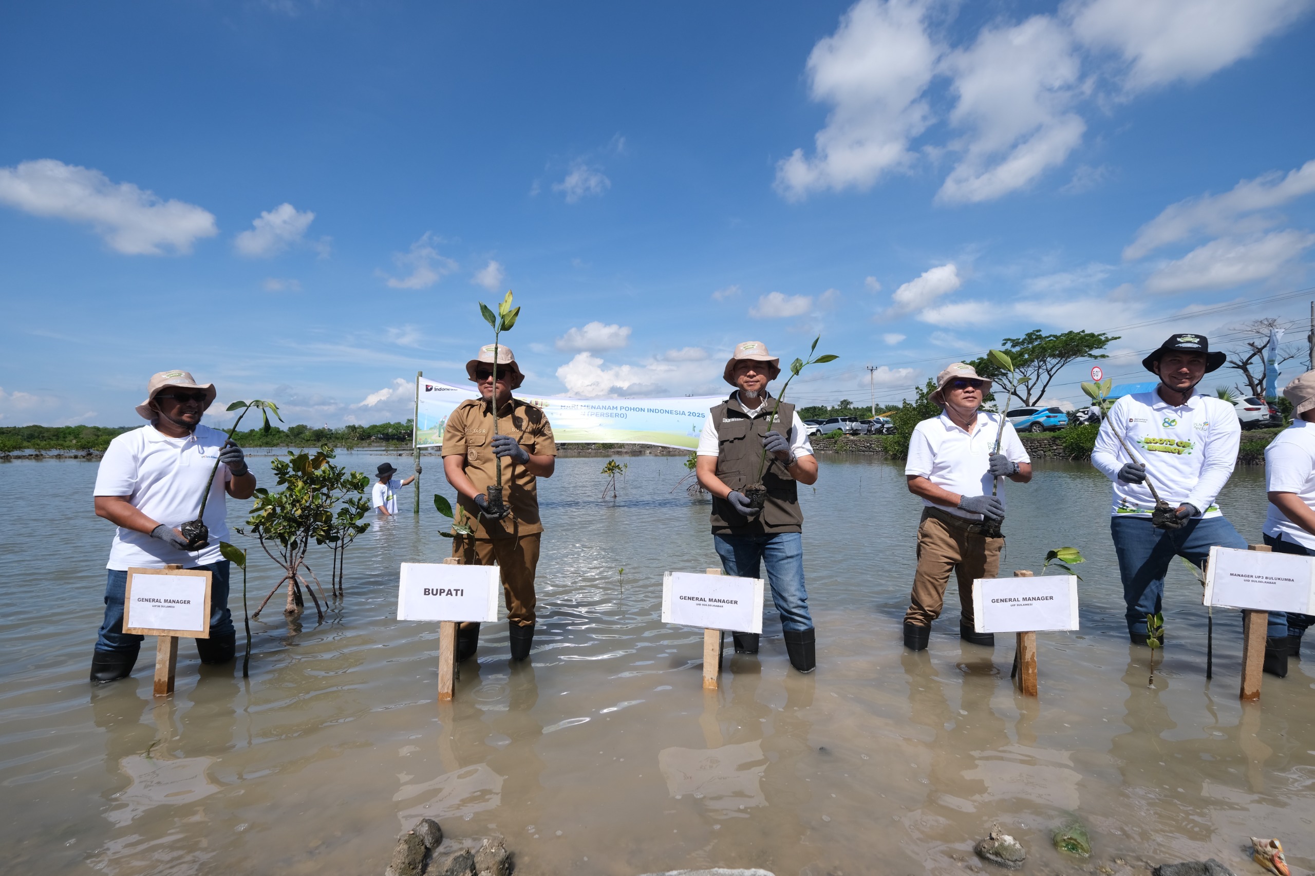 PLN Group Sulsel Tanam 10.150 Pohon di Jeneponto Lewat Roots of Energy