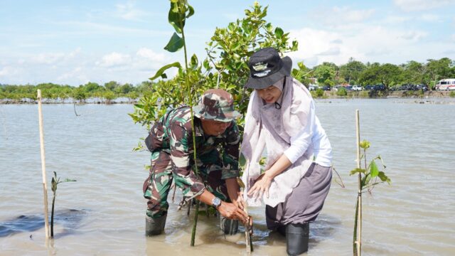 PLN Se-Regional Makassar Tanam 10.150 Pohon di Kabupaten Jeneponto
