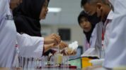 UFRG Unhas Dorong Kampus Mitra Bangun Laboratorium Riset Lalat Buah